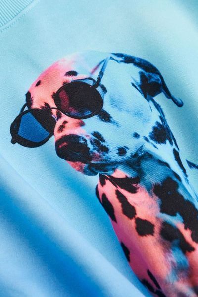 Утеплений світшот H&M пд8736 блакитний 2200000257772 фото