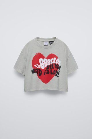 Футболка Zara пд10937 сіра 2200000352552 фото